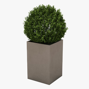 planter realistic 3D model