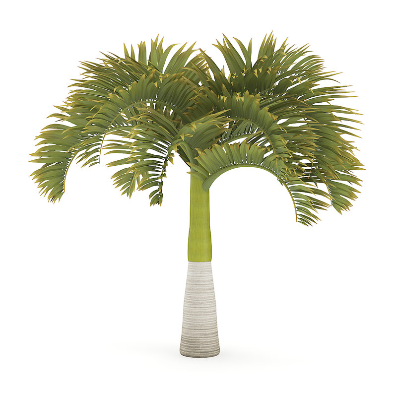 Christmas Palm Tree Turbosquid 1205253 Christmas Palm Tree