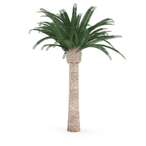3D pineapple palm tree