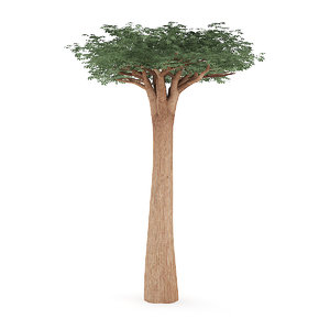 3D baobab tree