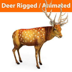 deer rigged animation 3D