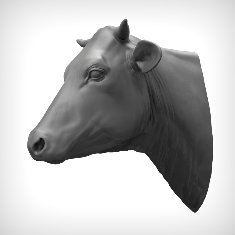 Cow head 3D model TurboSquid 1205790