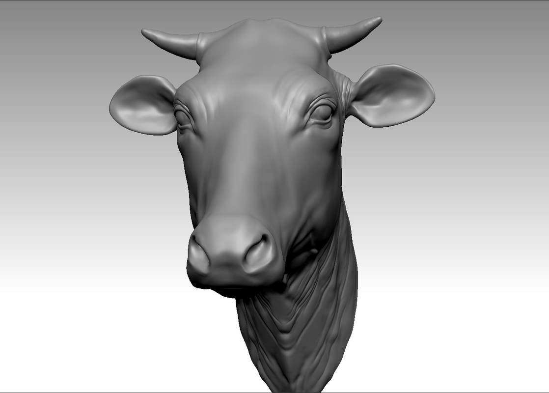 Cow head 3D model TurboSquid 1205790