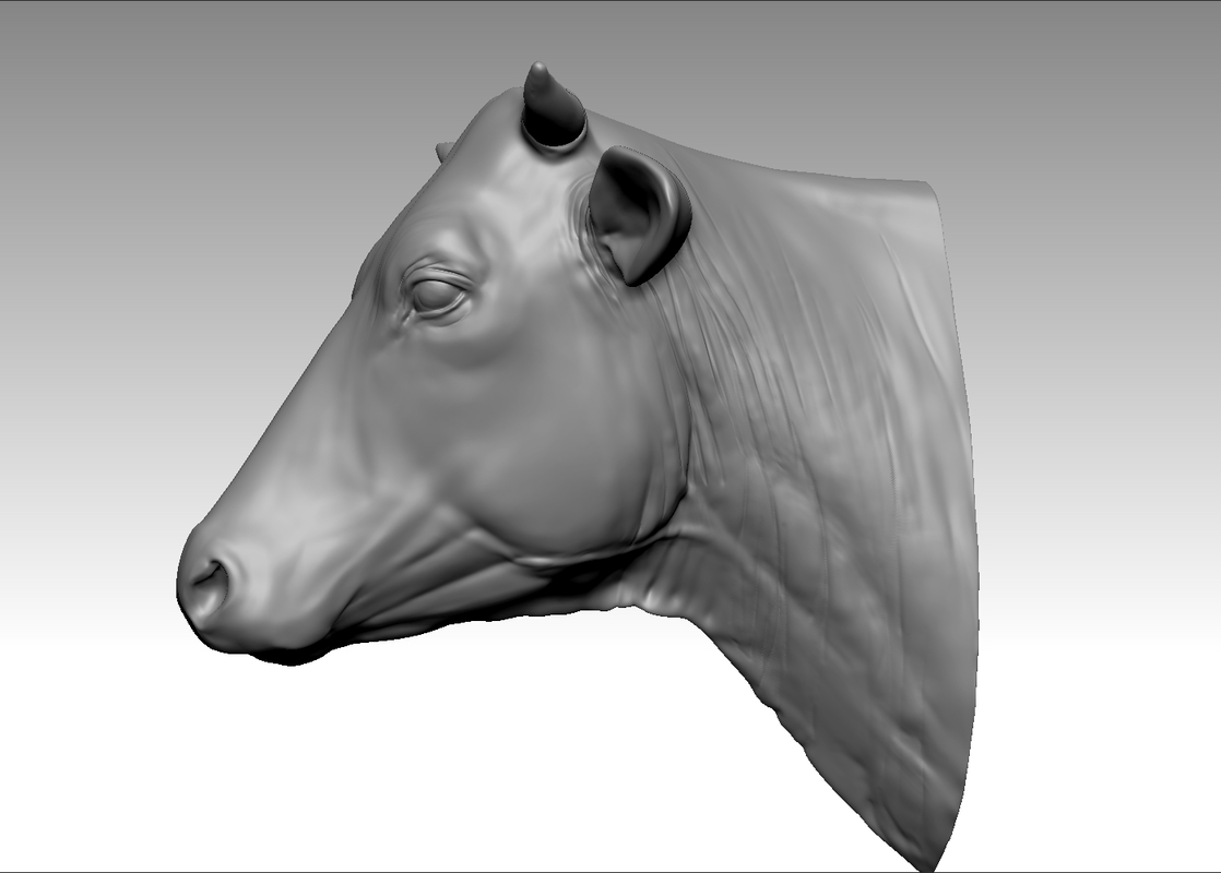 Cow head 3D model TurboSquid 1205790