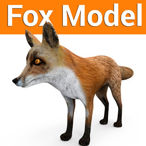3D fox ready model