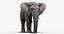 elephant nose 3D model