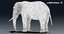 elephant nose 3D model