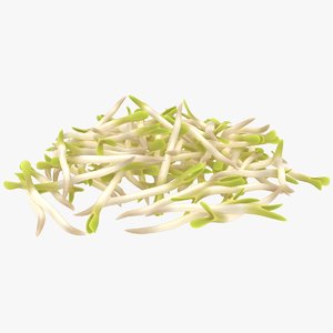 3D realistic bean sprouts