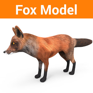 fox ready model