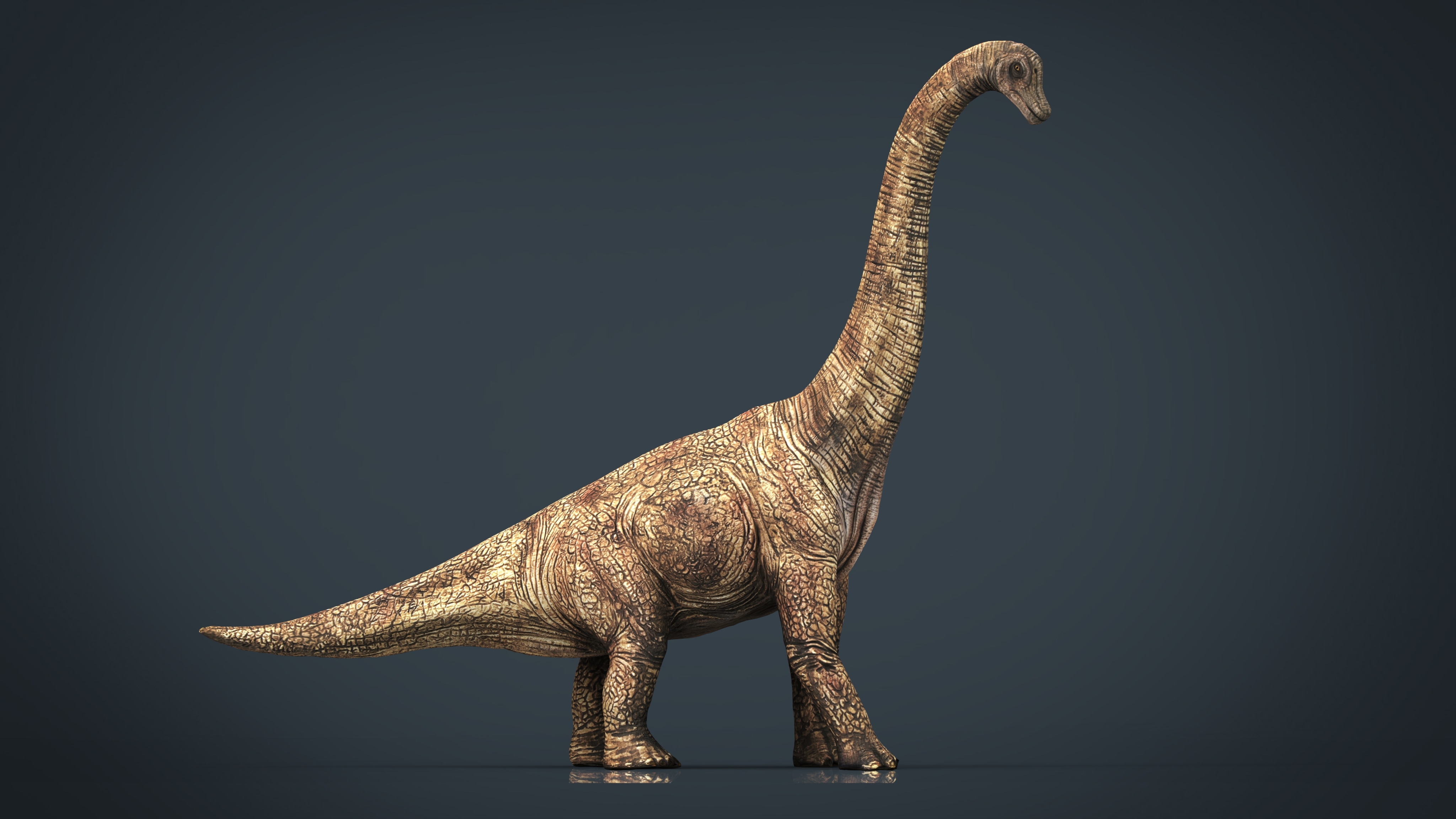 3d realistic brachiosaurus