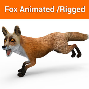 fox rigged animation 3D model