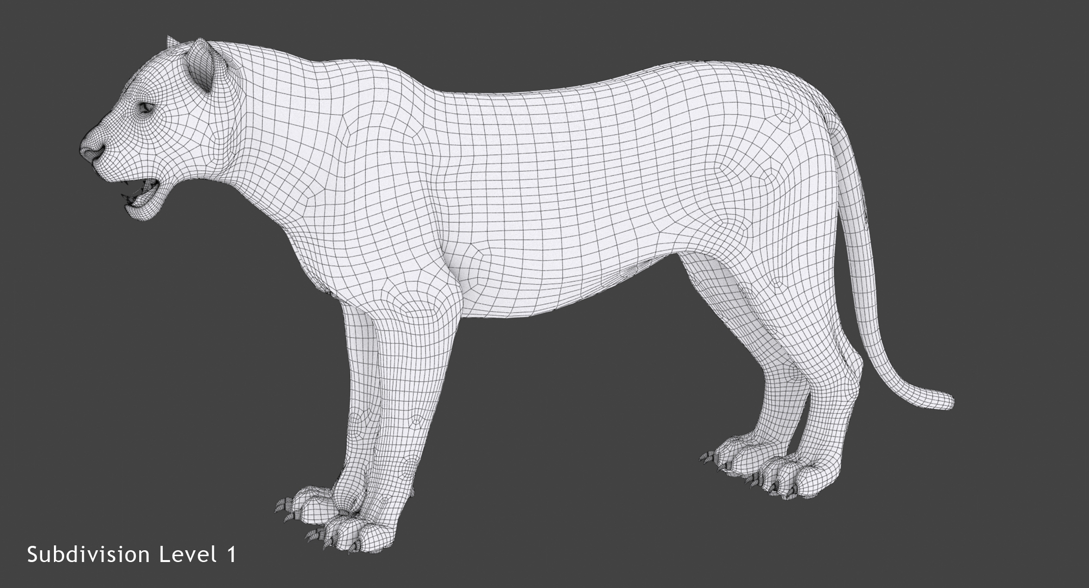 白虎(毛皮,rigged)3d模型