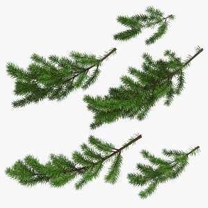 christmas fir branches 3D model
