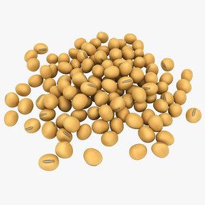 realistic soybean pose 2 3D model