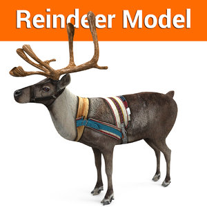 reindeer deer 3D model