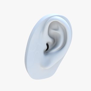 ear printed 3D model