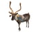 reindeer rigged deer animation 3D model