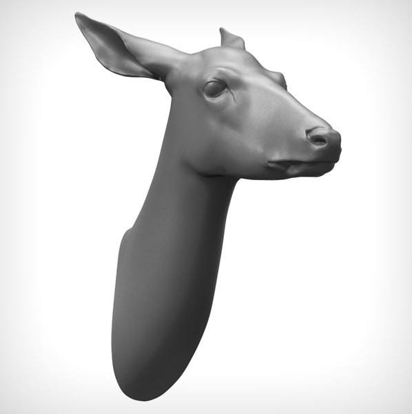 Mounted Animal Head 3D Models for Download TurboSquid