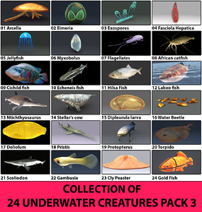 24 underwater 3D model