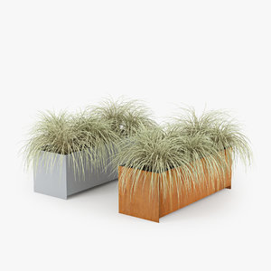 3D model grass plant