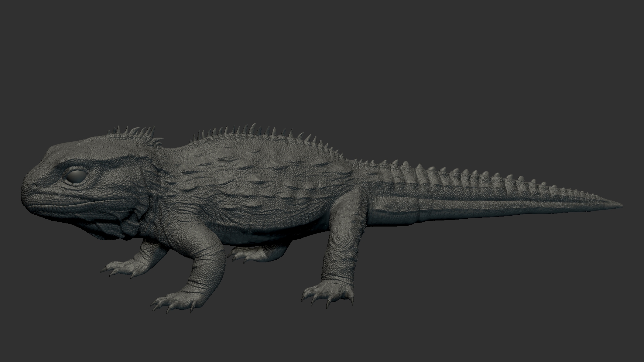 3D model tuatara TurboSquid 1208405