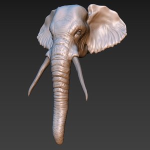 elephant head 3D model