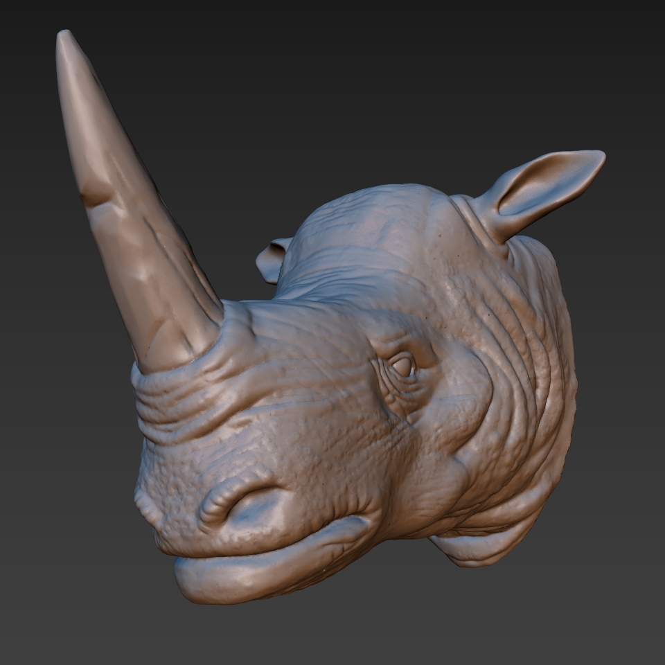 rhino human model free