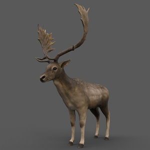 Deer Blender Models for Download | TurboSquid