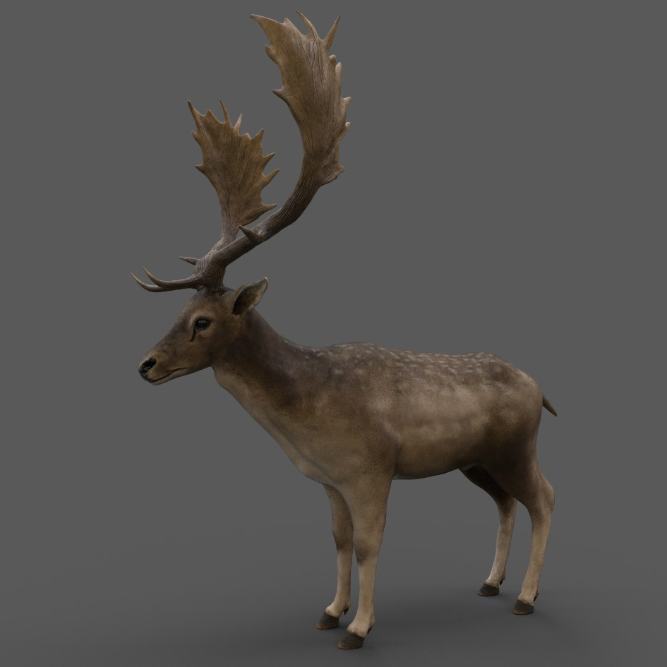 3D model fallow deer - TurboSquid 1208914