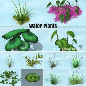 water plants 3D