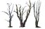 spooky forest pack 30 3D model