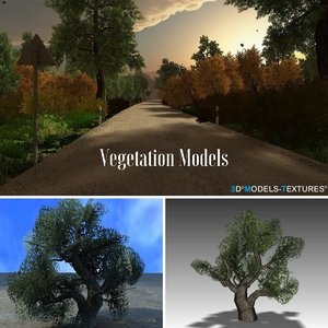 3D model vegetation trees