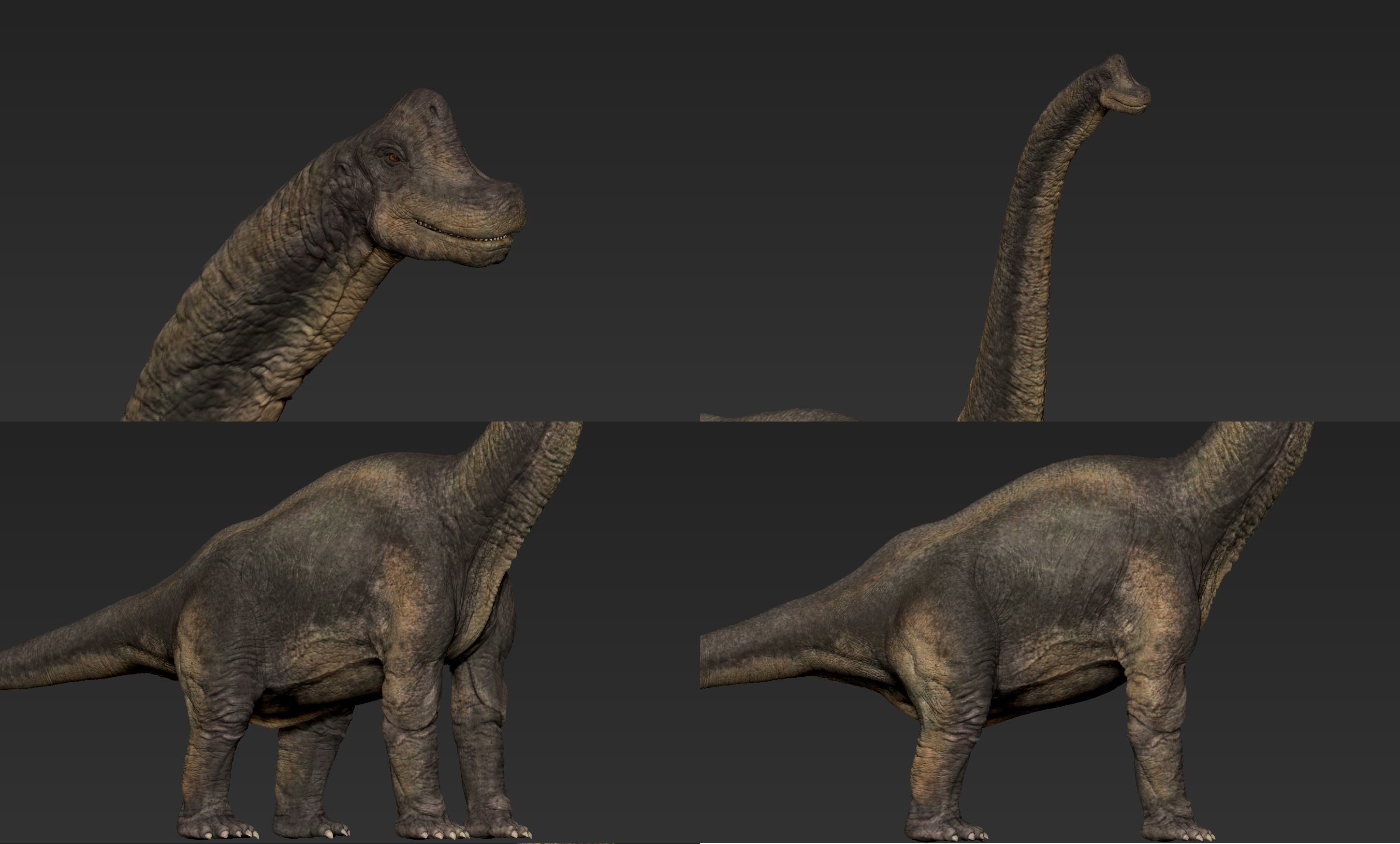 brachiosaurus 3d view