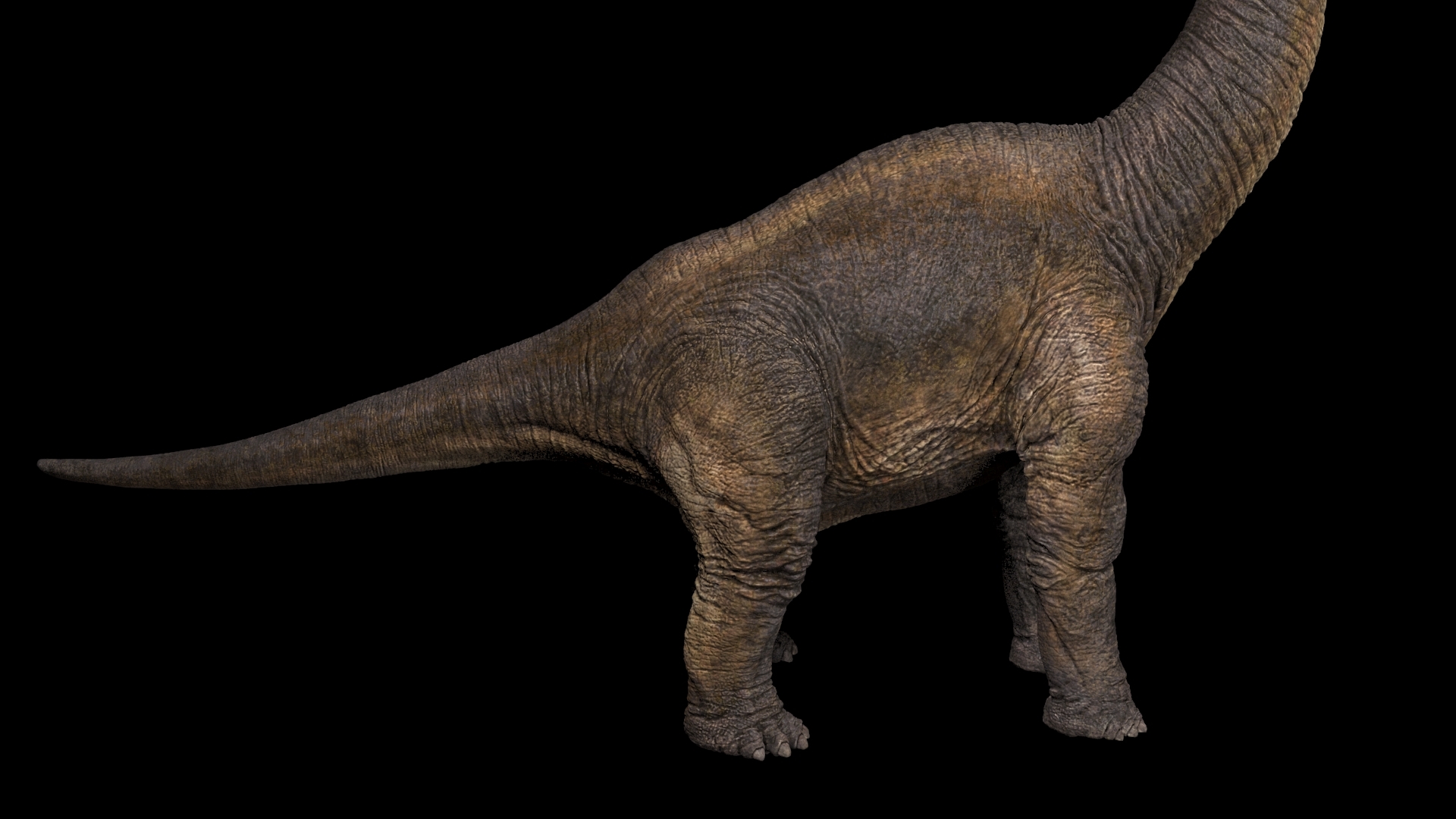 3D model brachiosaurus - TurboSquid 1209568