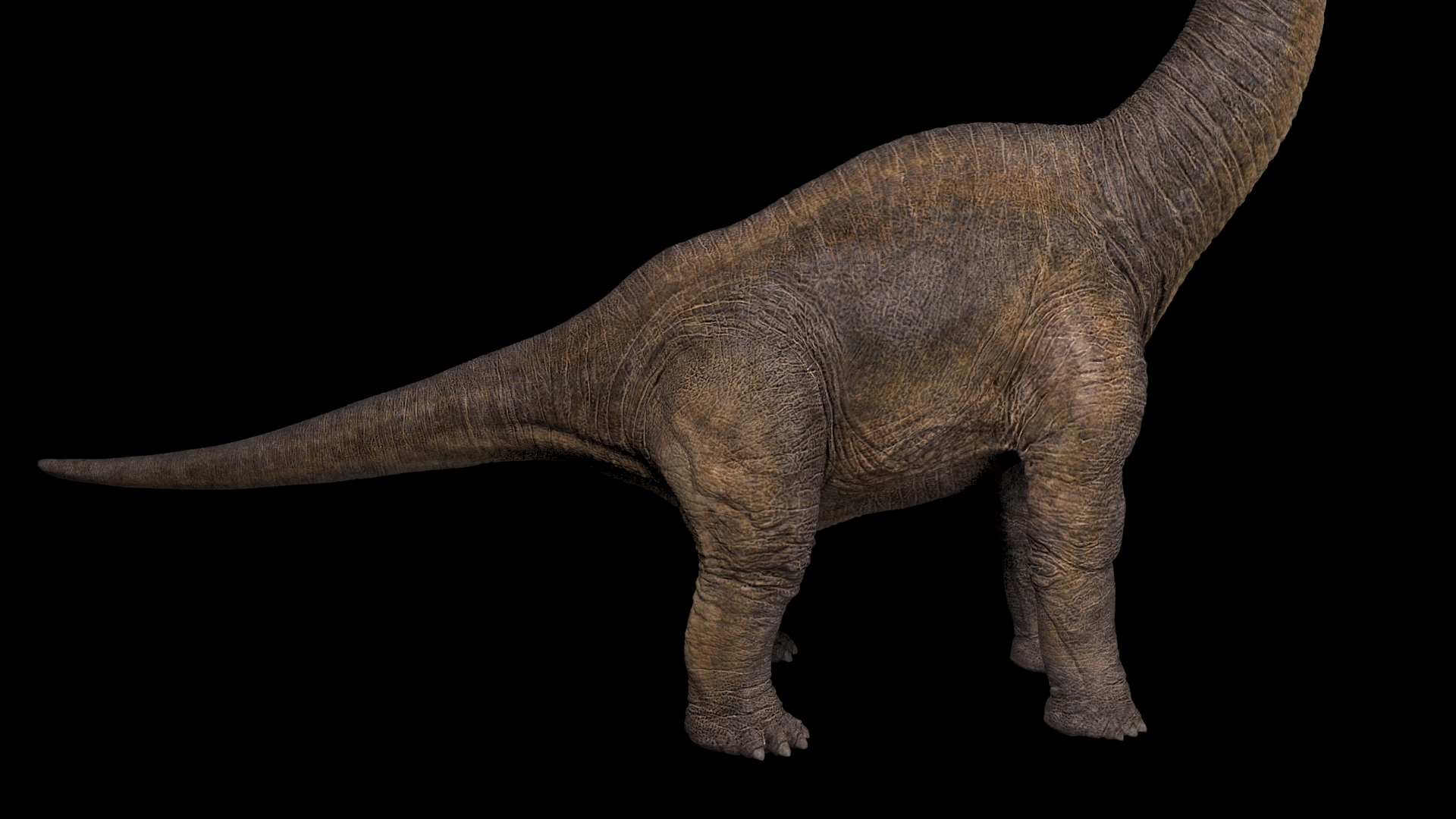brachiosaurus view in 3d