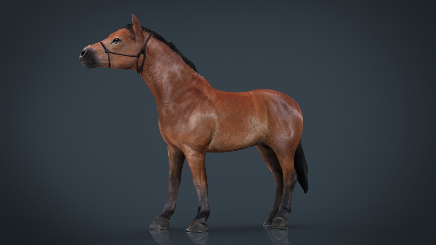 3D horse - TurboSquid 1209709