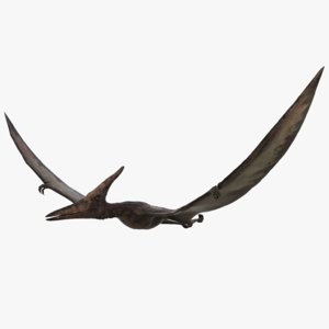 pteranodon rigging animation 3D model