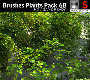 brushes plants pack 68 3D model
