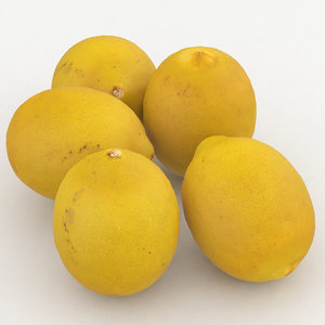 lemon fruit 3D model