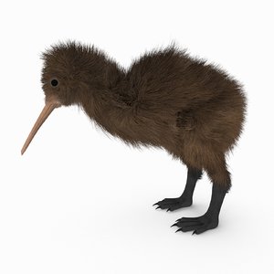 kiwi bird fur 3D