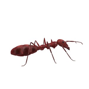 red ant 3D model