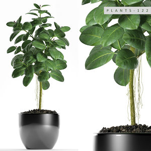 plants 122 rubber 3D model