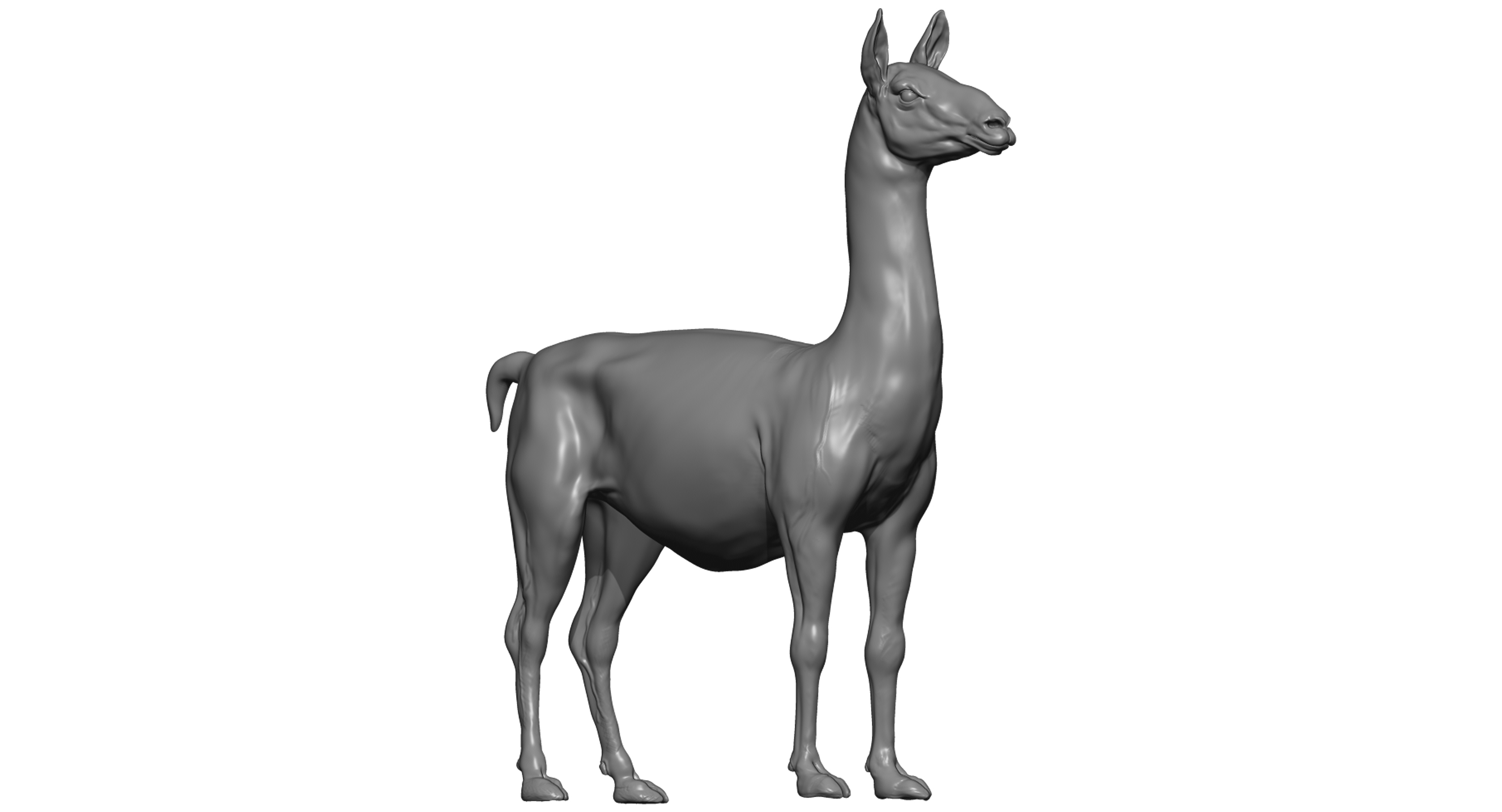 骆驼3d模型