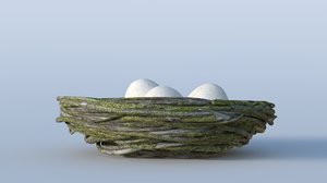 bird s nest 3D model