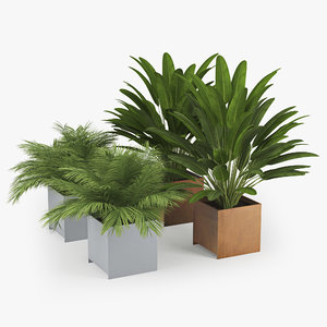 3D tropical plant