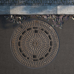 manhole cover 3D