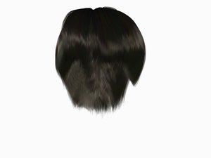 haircut hair fur head 3D model