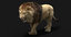 lion fur 3D