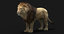 lion fur 3D