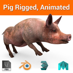 pig rigged animation 3D model